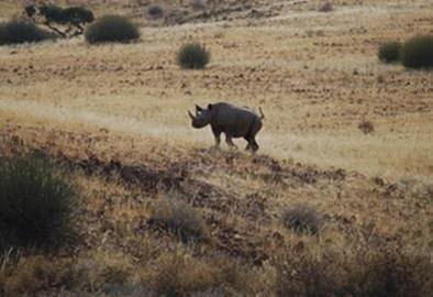 Why Namibia?